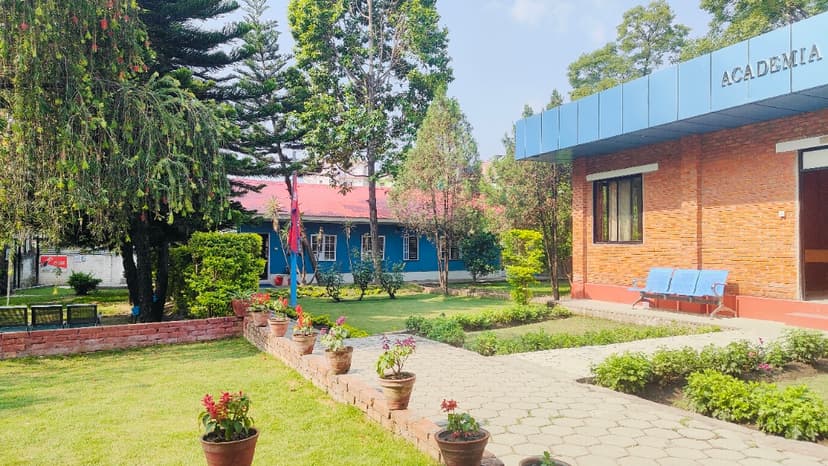 Academia International College