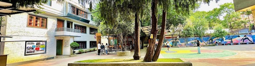 Islington College