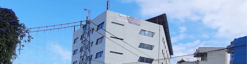 Triton International College