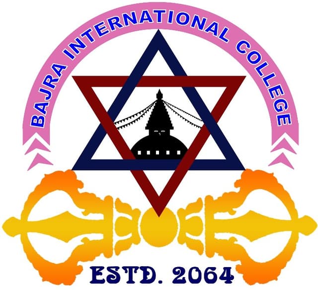 Bajra International College logo