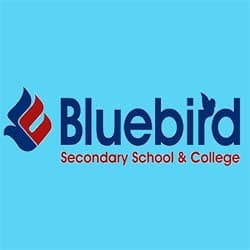 Bluebird College