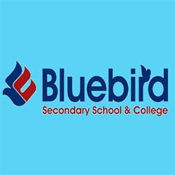 Bluebird College